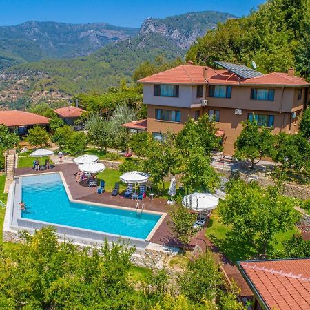 Avena Mountain Hotel - Adults Only Αλάνια Εξωτερικό φωτογραφία