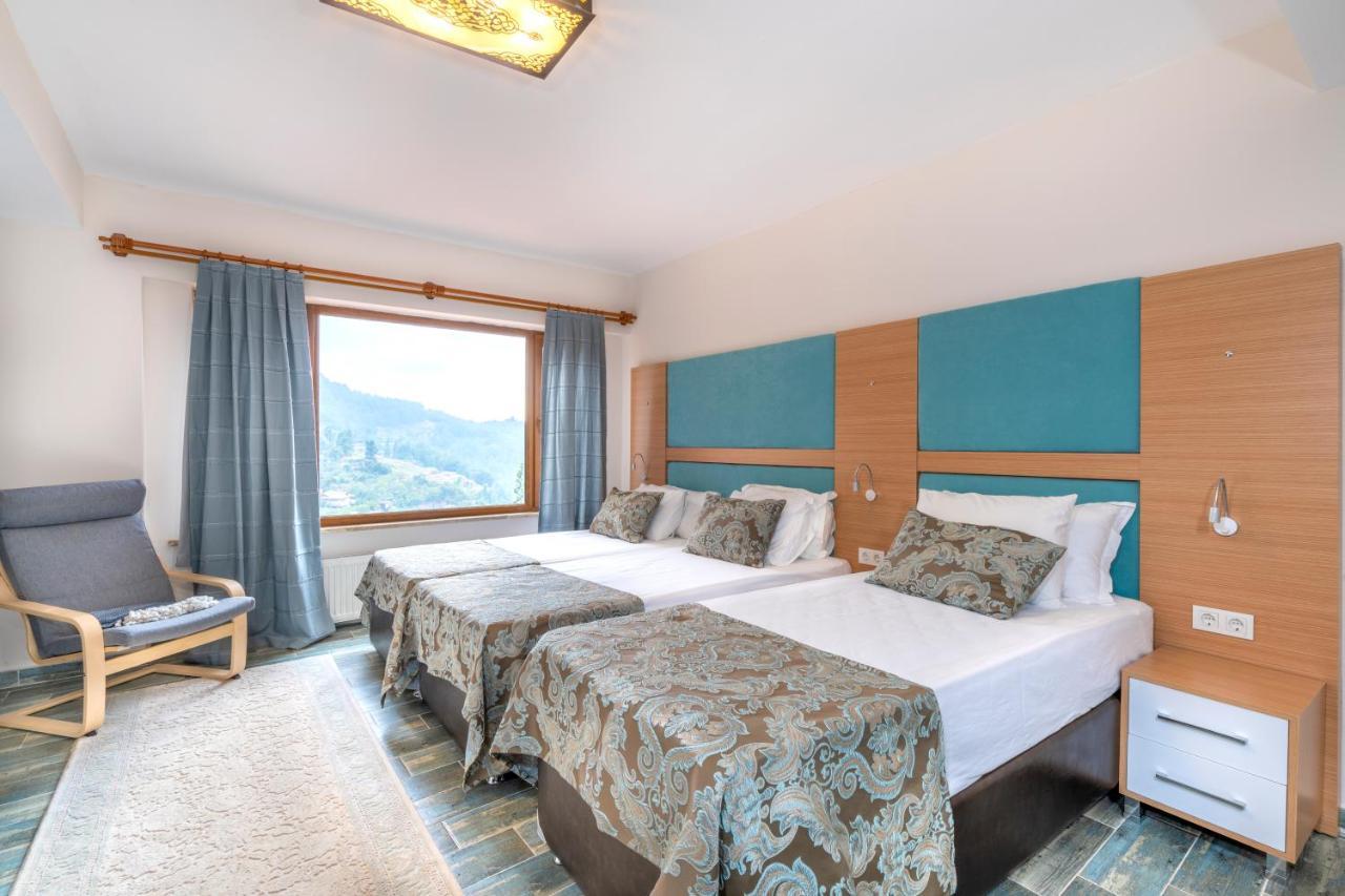 Avena Mountain Hotel - Adults Only Αλάνια Εξωτερικό φωτογραφία